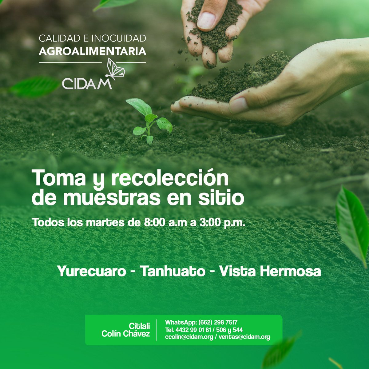 cidam_ac's tweet photo. Amigo productor, si eres de la zona del Bajío y necesitas enviar tus muestras al laboratorio del #CIDAM todos los martes estamos en la zona para realizar la toma y recolección en un horario de 8:00 a.m. a 3:00 p.m.
Cotiza tus servicios de análisis en CIDAM
#SomosCIDAM https://t.co/3idJ9U7CrF