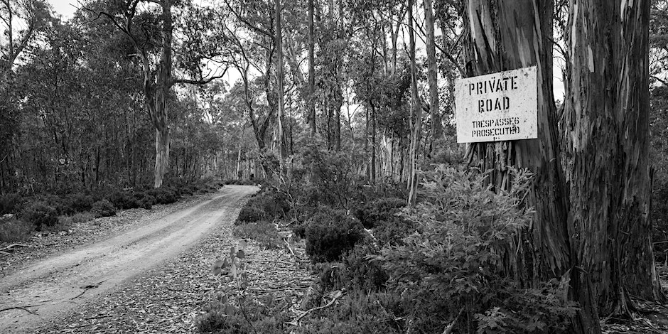 Libraries Tasmania tweet media