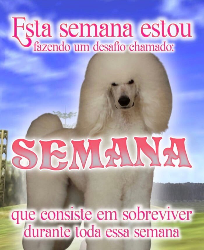 brupfvr's tweet photo. boa semana a todos https://t.co/ggTUU5cyWJ