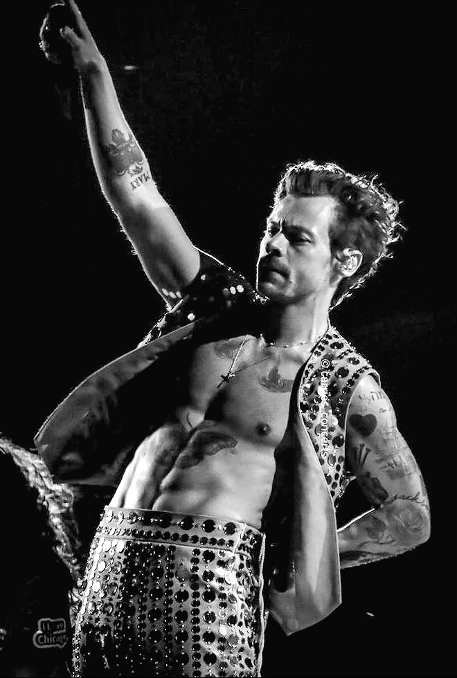 daily harry tweet media