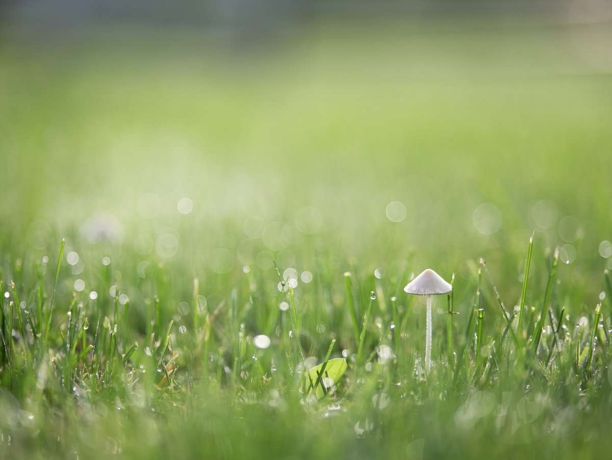 Aaron Burden tweet media