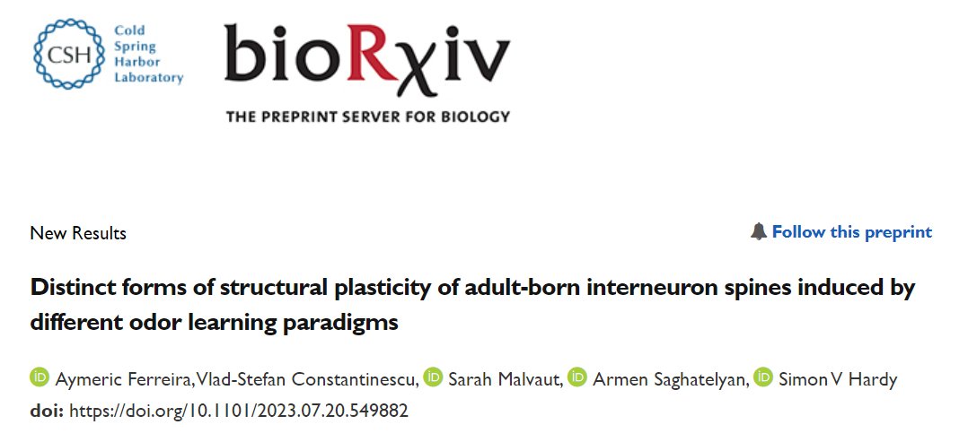 1/8 Check out our pre-print on <a href="/bioRxivpreprint/">bioRxiv</a>! In this article, we discovered that distinct forms of synaptic plasticity of adult-born neurons in the OB are involved depending on the complexity of odor-learning paradigms and sensory inputs. More information and a link below.