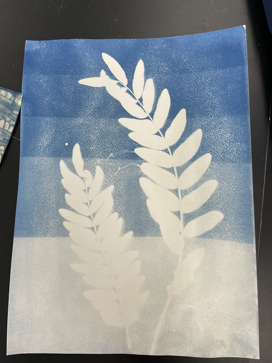 Brittany MacPherson tweet media