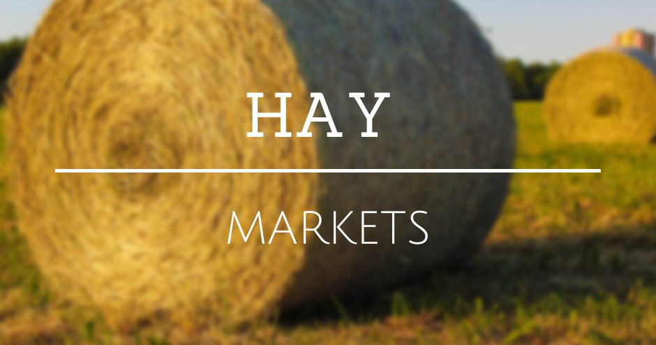 HpjWeece's tweet photo. State-by-state hay summary. https://t.co/Bl6i7sQhab https://t.co/vBGFR8hiPq