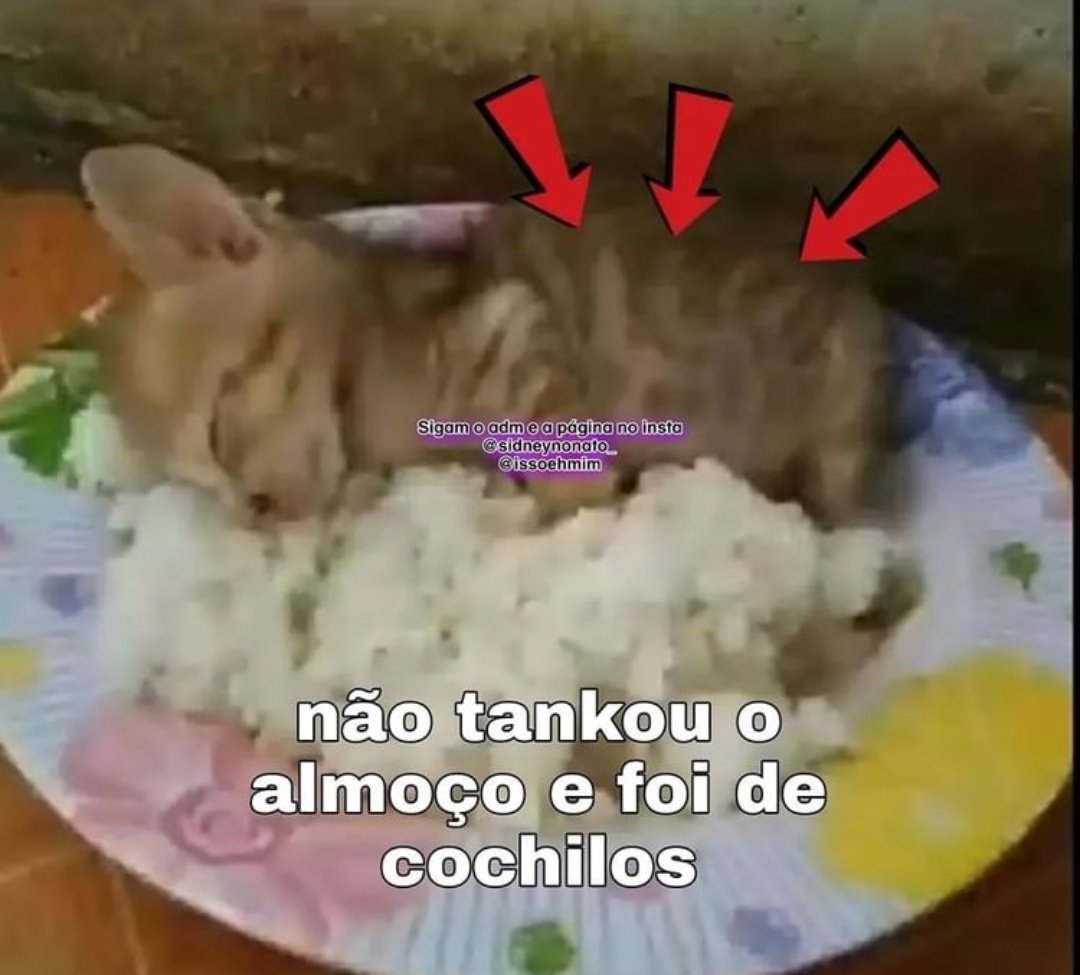 Não tankou tanta fofura e foi de base! ⚰
