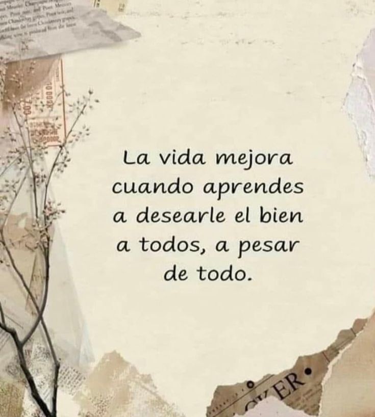 La vida mejora cuando aprendes a desearle el bien a todos. 🙏