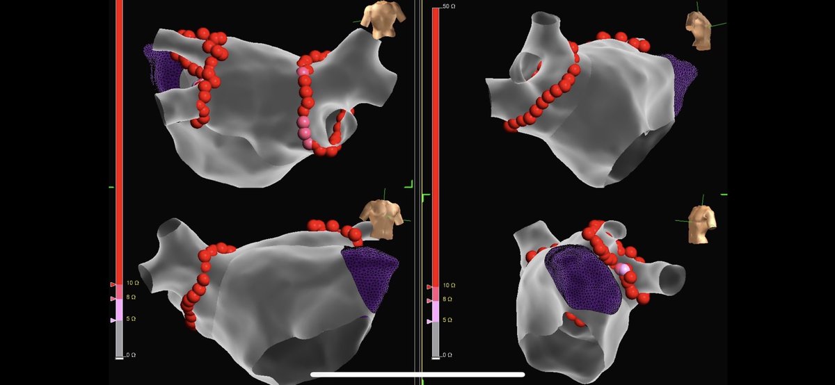 Kyle Mikolowski tweet media