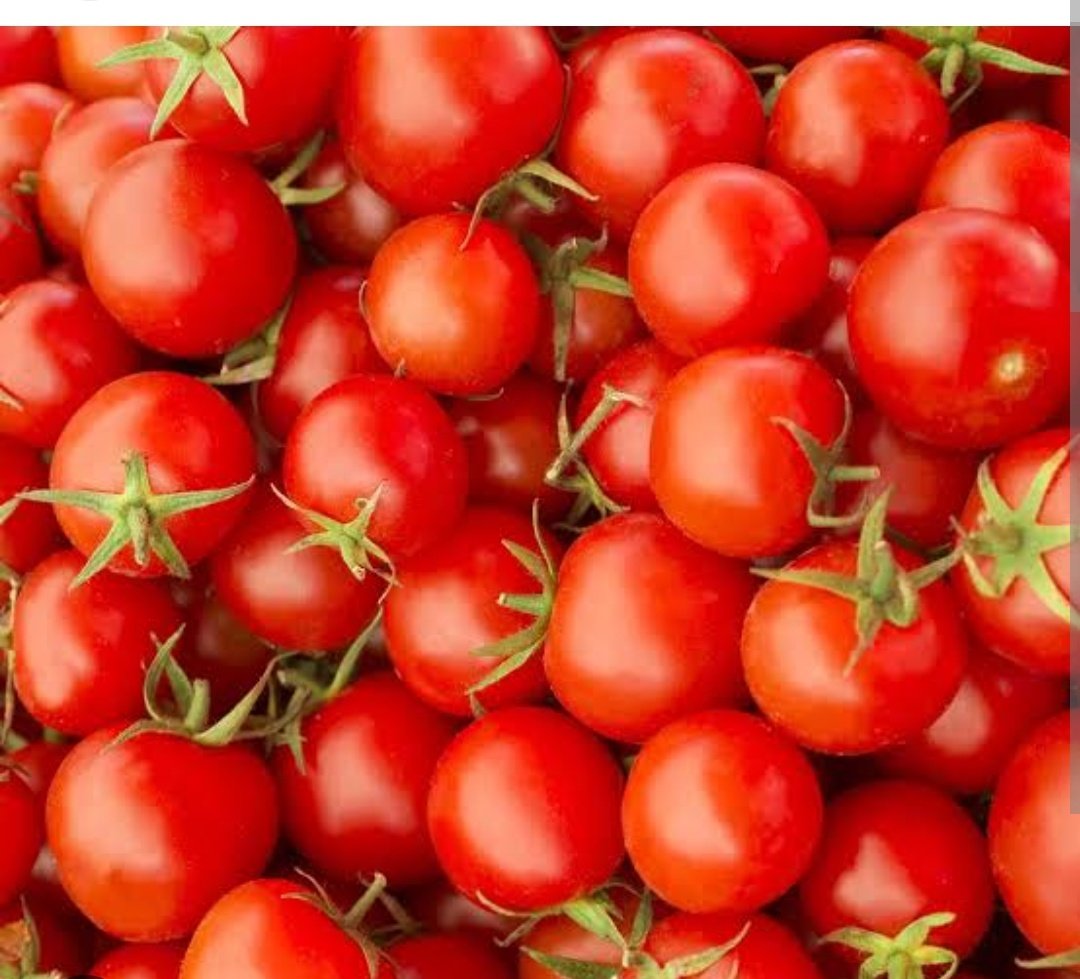 Ppanda0707's tweet photo. Considering  TOMATO'S  volatility, I believe it may be time to register it on @NSEIndia and @BSEIndia.

#Tomatoes https://t.co/IuF2WoJOvI