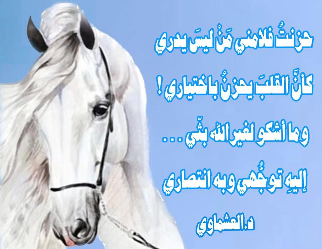 Dr_Ashmawi's tweet photo. #العشماوي🌿 https://t.co/7H3RG7MpQ0