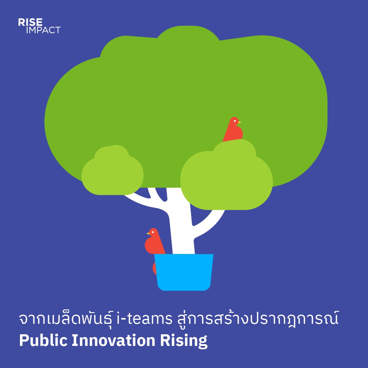 RISE IMPACT tweet media