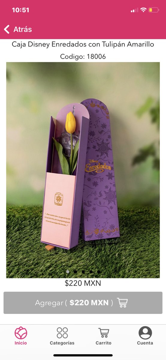 no quiero cualquier tulipán, quiero ese tulipán… 😪