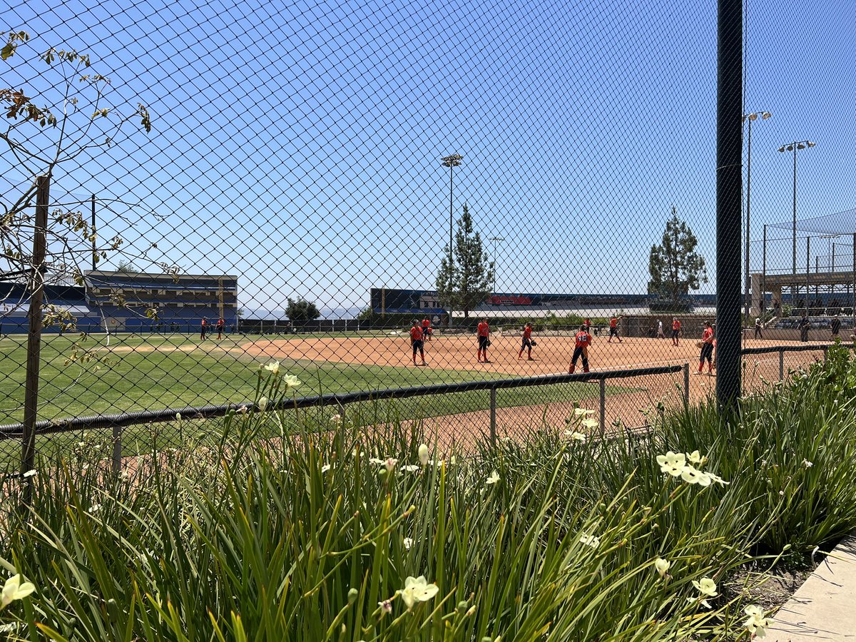 EC Bullets 18Gold Schnute/Bagarose tweet media