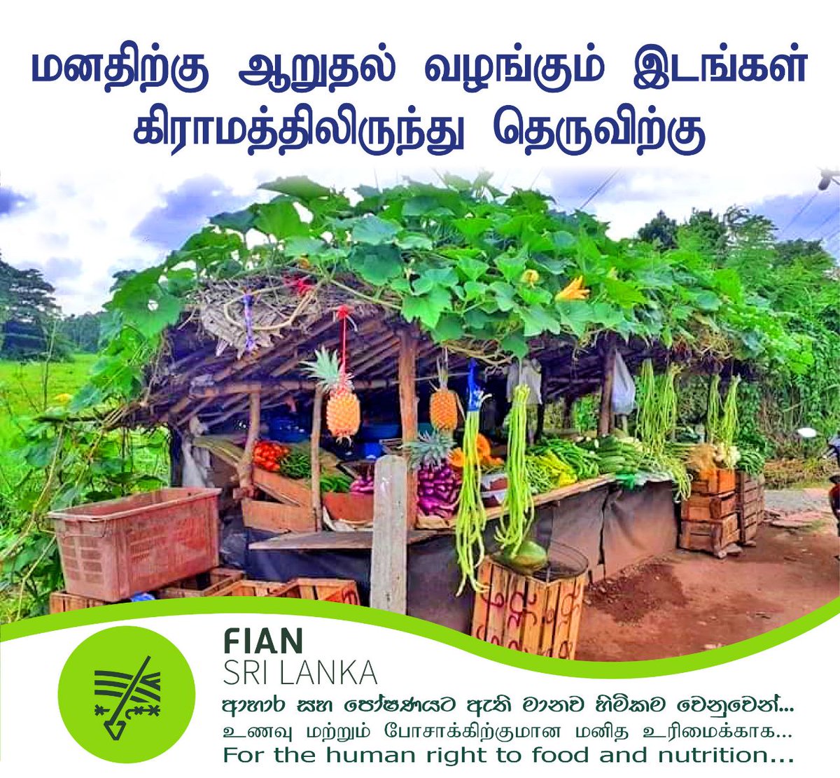 FianSrilanka's tweet image. #vegetables #freshvegetables #vegetablesoup #organicvegetables #eatyourvegetables #vegetablesalad #rootvegetables #fruitsandvegetables #growingvegetables #greenvegetables #lovevegetables #eatmorevegetables #eatvegetables #fiansrilanka #fianposts