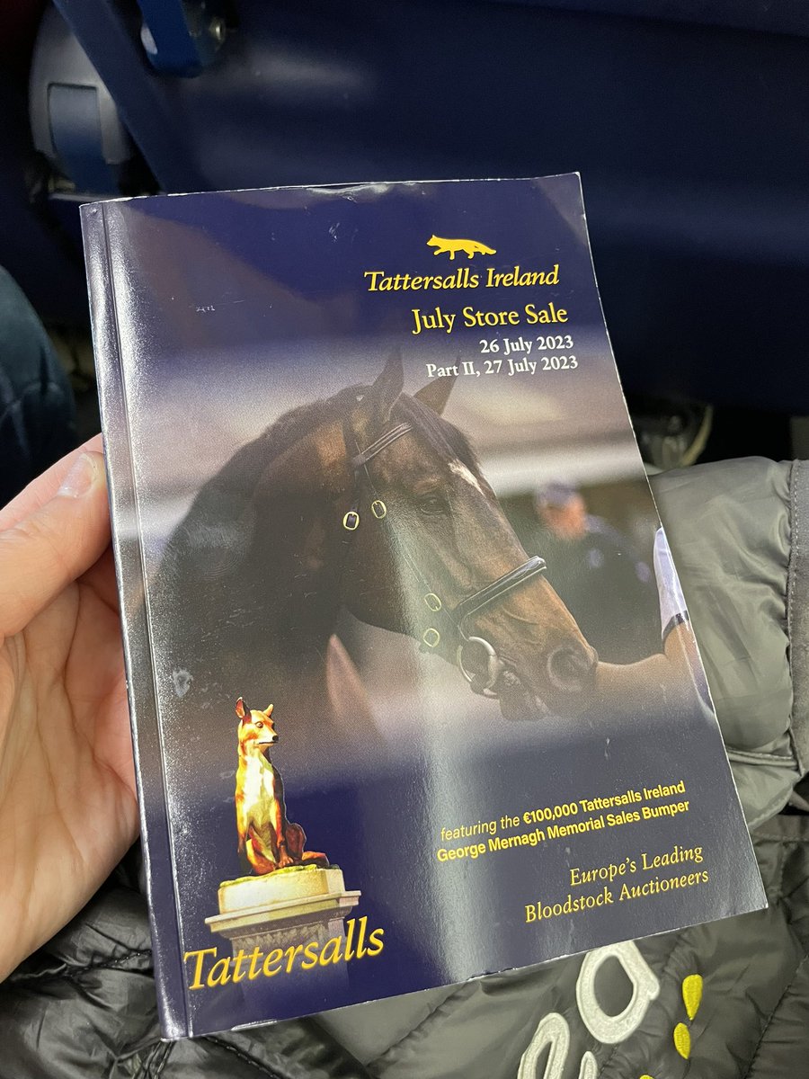 k_woollacott's tweet photo. Flight boarded and off to @tatts_ireland again looking for our final members of the 2023/24 season store team. π€π» for a successful trip ππ»βοΈ #Earlystart #OffShopping #StorehorsetoRacehorse https://t.co/o9Rrp1Xw0k