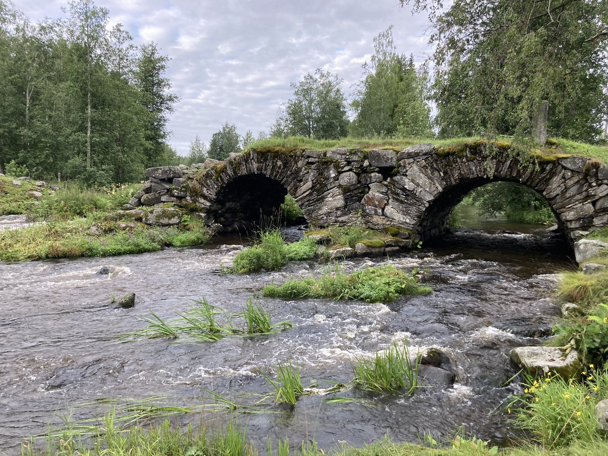 Aamukalassa #perhokalastus