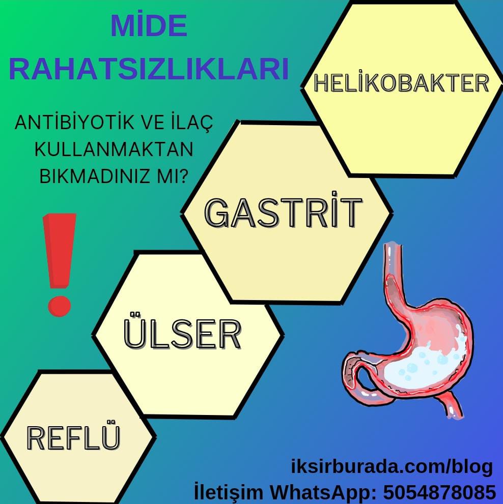 Sizde de bu rahatsızlıklar varsa iletişim kurun, BLOG sayfamızı ziyaret edin

ÇÖZÜM VAR 💚

📞 0505 487 80 85

iksirburada.com/blog