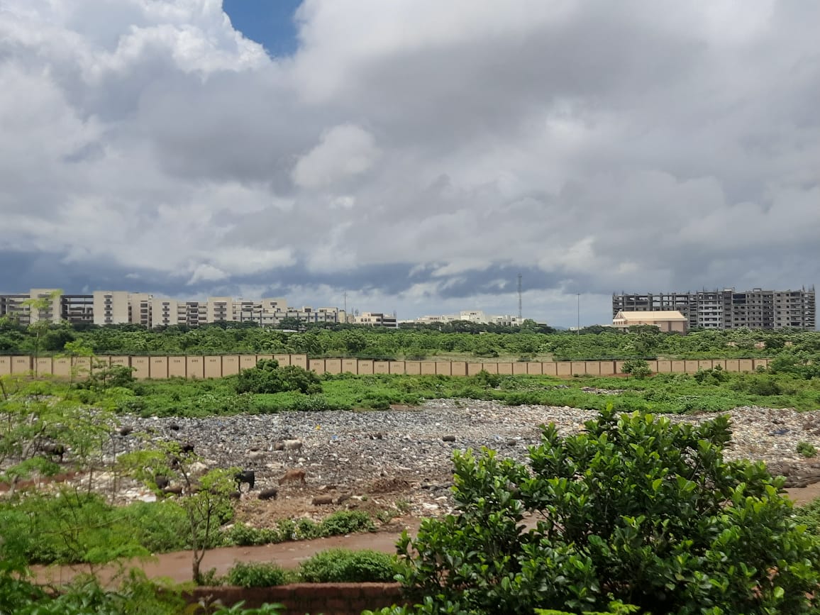 pritammshr's tweet photo. Lots of mosquitos, flying insects, snakes and bad smells due to illegal dumping near Our society. The situation is very critical during this rainy season. 

Location: Lane 14, AIIMS Nagar, Patrapada backside.

Please take necessary action and help us.
@bmcbbsr @BSCL_BBSR https://t.co/Wyqg3jqBBm