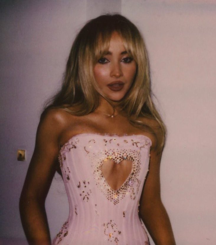 muglare's tweet photo. need a full tour of these cute ass corsets she wears on her tour https://t.co/myT9wd5Cco