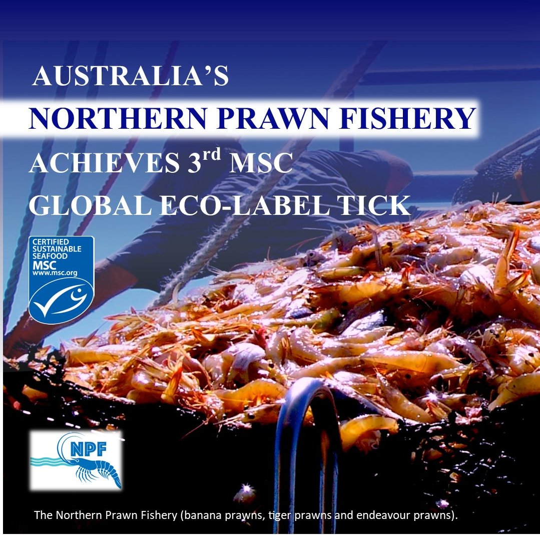 🙌 Congratulations to the team at the Australia Northern Prawn Fishery for achieving MSC certification for the third time! fisheries.msc.org/en/fisheries/a… #sustainablefishing #MSCcertified