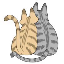 セールじゃないし高いんだけど靴下お気に入り 