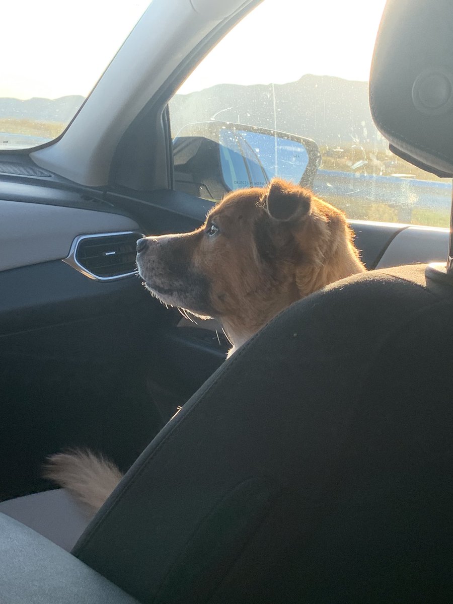 Odd Shae tweet media