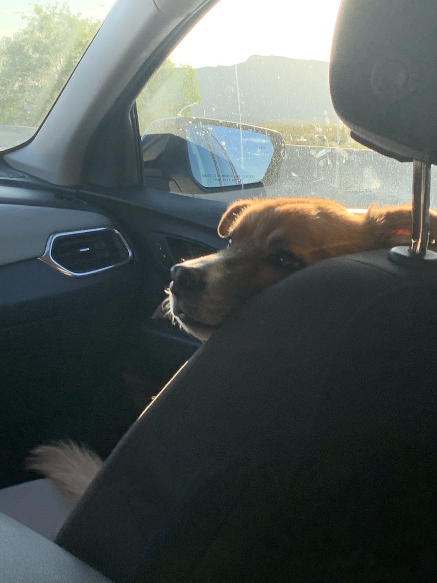 Odd Shae tweet media