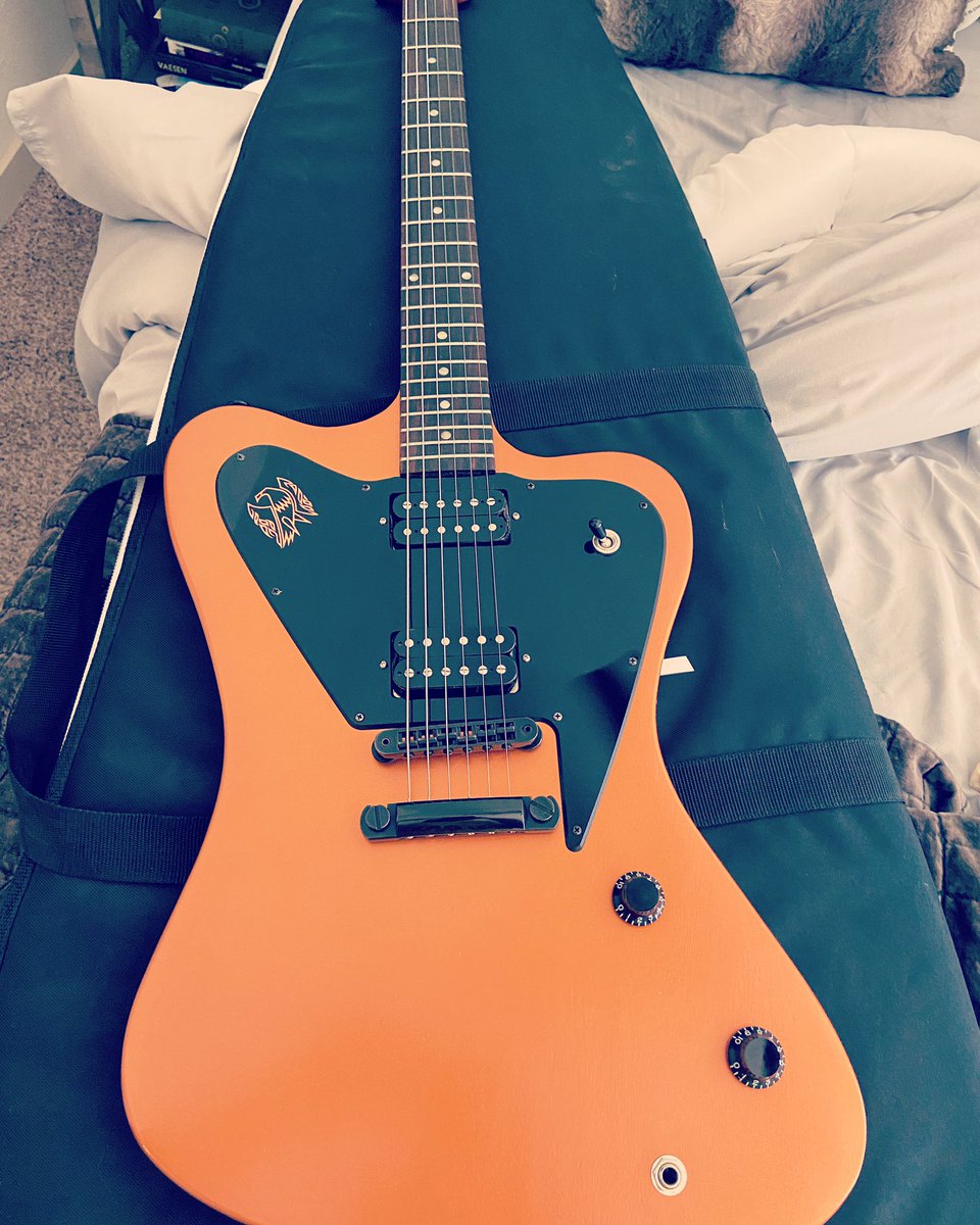 AndyMatches's tweet photo. Got a new guitar this weekend. I’ve been wanting a Firebird or Explorer for a long time and a buddy traded me for my Les Paul to finally make it a reality. https://t.co/So5Kh899gR