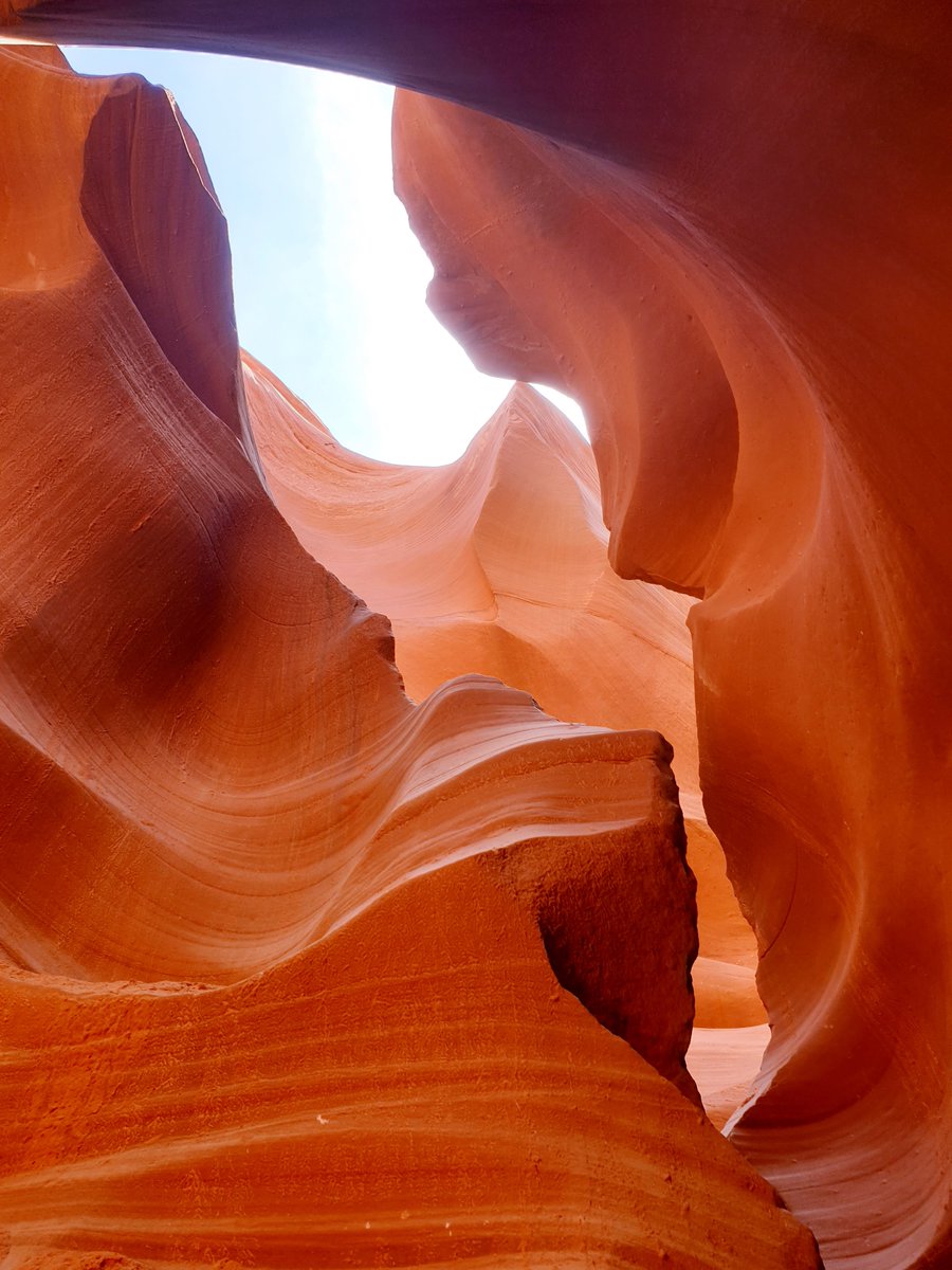 Uwe Koch tweet media