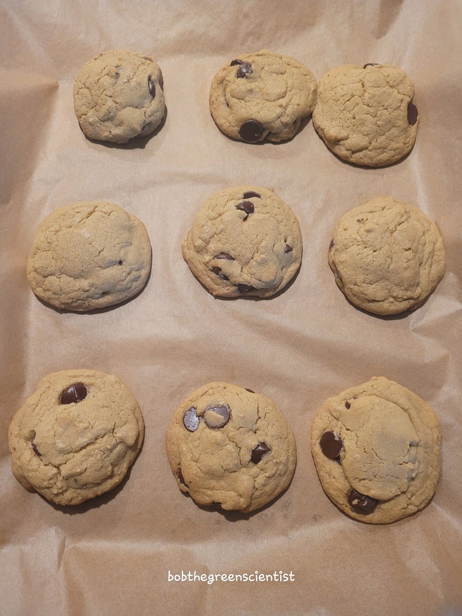 First batch of #cannabis chocolate chip cookies out of the oven.