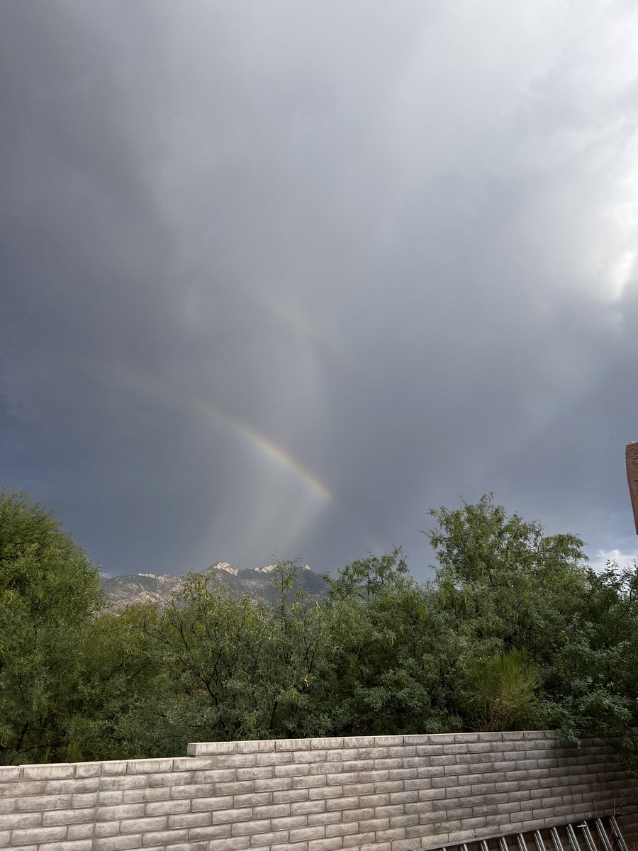 loriburkhart's tweet photo. #ViewsFromTheBackyard https://t.co/ETmtUrvVX8