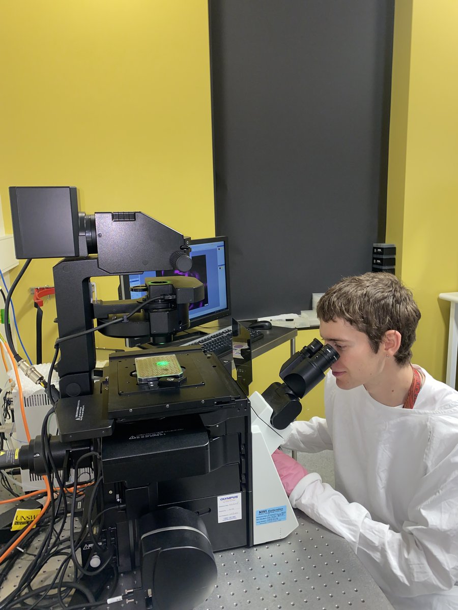 "I was initially attracted to biomedical sciences through my fascination with the cellular origins of disease. This led me to the field of cancer research, where I developed an interest in the use of imaging techniques to capture and model cellular behaviour."