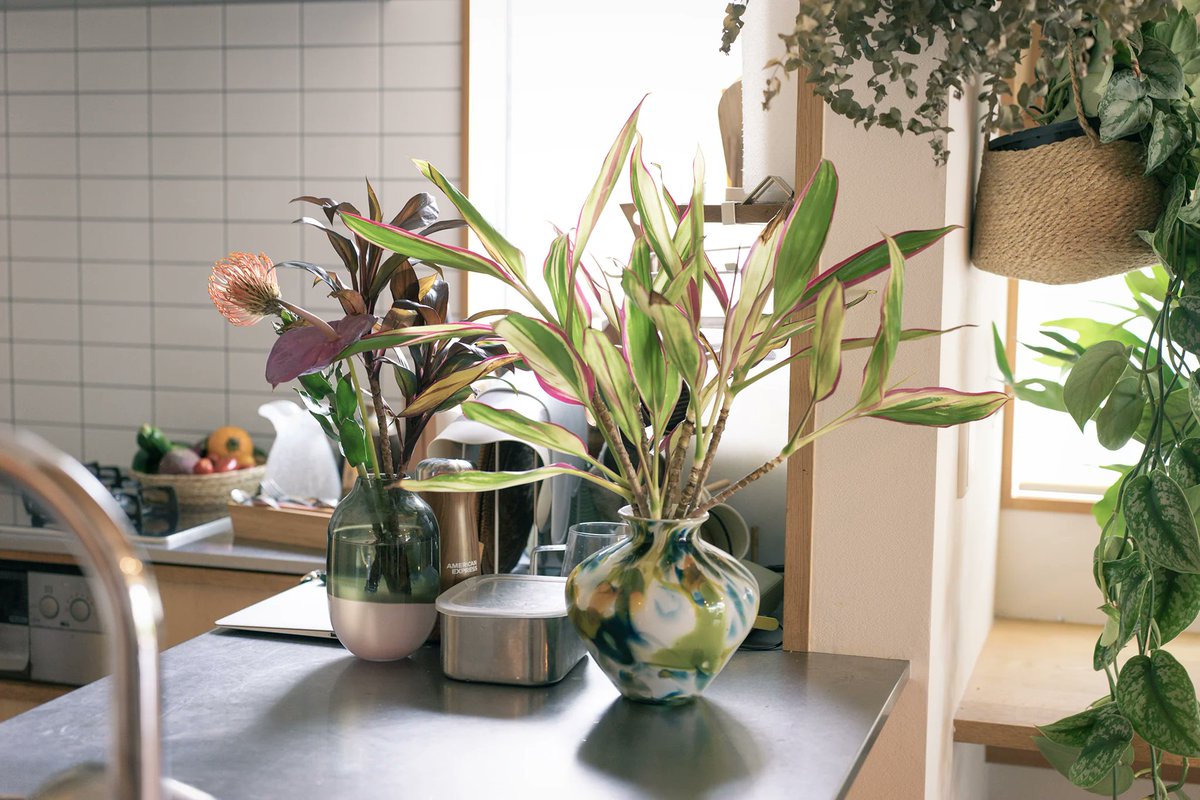 【花と植物で変化を楽しむ。四季を感じられる家とは】

テレビ局のアナウンサーを経て、フラワーアーティストとして活躍する前田有紀さん。
とても素敵なお部屋と暮らしです✨

andplants.jp/blogs/journal/…