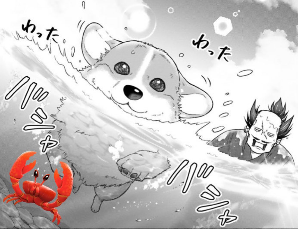 バシャバシャしたい日🦀

#殿と犬 