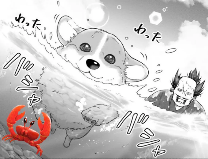 バシャバシャしたい日🦀

#殿と犬 