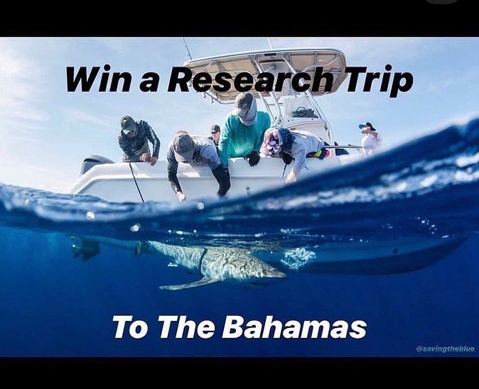 Saving the Blue tweet media