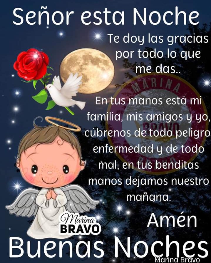JuanaRang1's tweet photo. Buenas noches https://t.co/zTs4EotivG