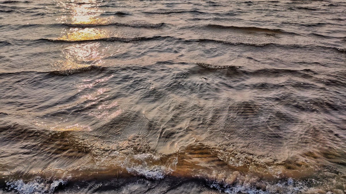 kimmaylou's tweet photo. 205/365
A cinematic summer evening.
#ayearwithmycamera #project365 #sunset #waves #lakehuronsunset #lakehuron #greatlakeslife #lakelife #cheboygan #cheboyganstatepark #duncanbay #goneswimming #summernights #summertimeinnorthernmichigan #summertime #photoftheday #photoaday https://t.co/NShc9WdgBT