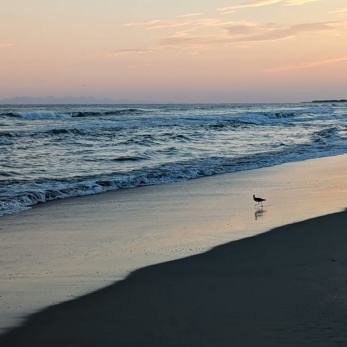 CoachMetea's tweet image. It has begun! 

Day 1 

MA -&amp;gt; RI -&amp;gt; CT -&amp;gt; NY -&amp;gt; NJ -&amp;gt; DE -&amp;gt; MD -&amp;gt; VA -&amp;gt; NC

Highlights: 1) 15 hour trek over night into the Outer Banks

2) Camped in Frisco, NC at tip of Cape Hatteras 1/2 mile to beach

Next: Oregon Inlet near Nags Head OBX

#RoadTrip #Roofnest #OBX #OuterBanks