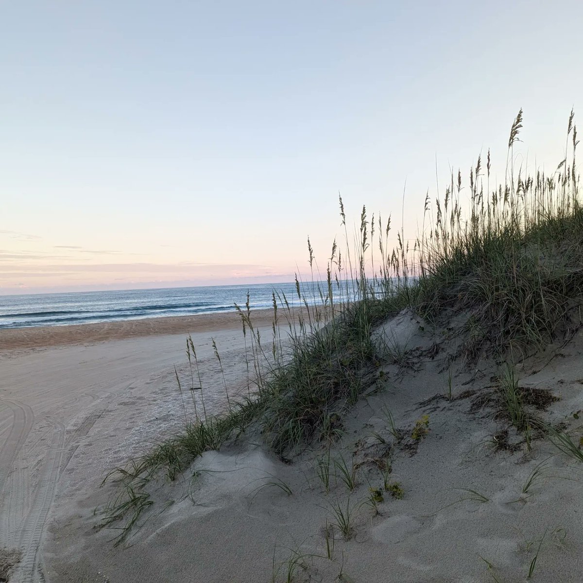 CoachMetea's tweet image. It has begun! 

Day 1 

MA -&amp;gt; RI -&amp;gt; CT -&amp;gt; NY -&amp;gt; NJ -&amp;gt; DE -&amp;gt; MD -&amp;gt; VA -&amp;gt; NC

Highlights: 1) 15 hour trek over night into the Outer Banks

2) Camped in Frisco, NC at tip of Cape Hatteras 1/2 mile to beach

Next: Oregon Inlet near Nags Head OBX

#RoadTrip #Roofnest #OBX #OuterBanks