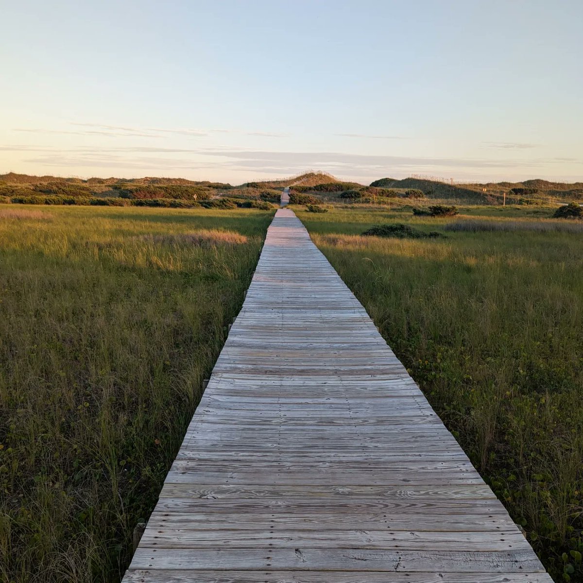 CoachMetea's tweet image. It has begun! 

Day 1 

MA -&amp;gt; RI -&amp;gt; CT -&amp;gt; NY -&amp;gt; NJ -&amp;gt; DE -&amp;gt; MD -&amp;gt; VA -&amp;gt; NC

Highlights: 1) 15 hour trek over night into the Outer Banks

2) Camped in Frisco, NC at tip of Cape Hatteras 1/2 mile to beach

Next: Oregon Inlet near Nags Head OBX

#RoadTrip #Roofnest #OBX #OuterBanks