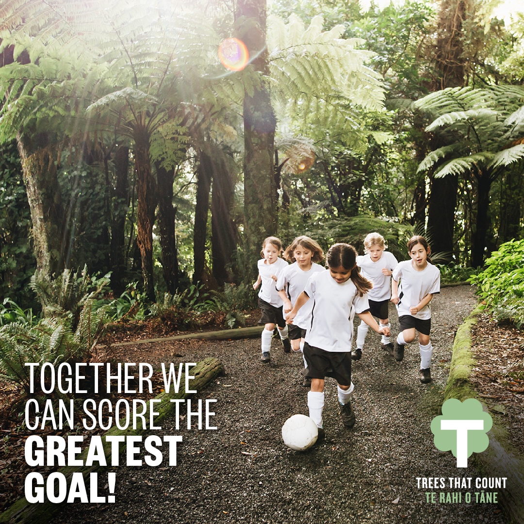 🌳 Trees That Count 🌳 tweet media