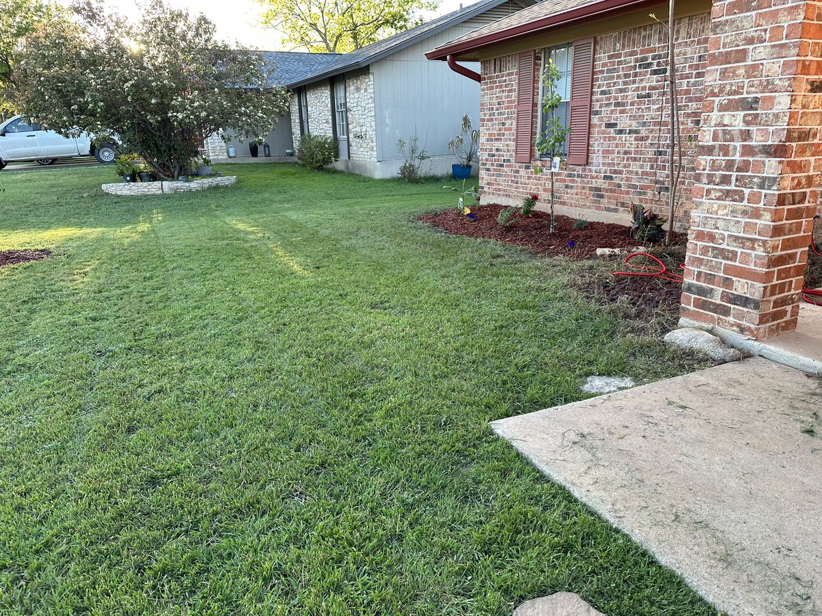 Katie B. MacLean tweet media