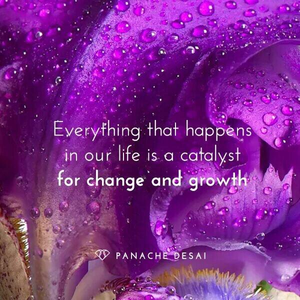 modusmeraki's tweet photo. To become who we are, we need the past, the experiences, the missteps, the successes. Don't regret the past, appreciate it for all its lumps, bumps, and triumphs.
https://t.co/OWkx0vf1Ha #JoyTrain #lifeisgood #withoutregret #noregretliving https://t.co/lu3gt66Z8G