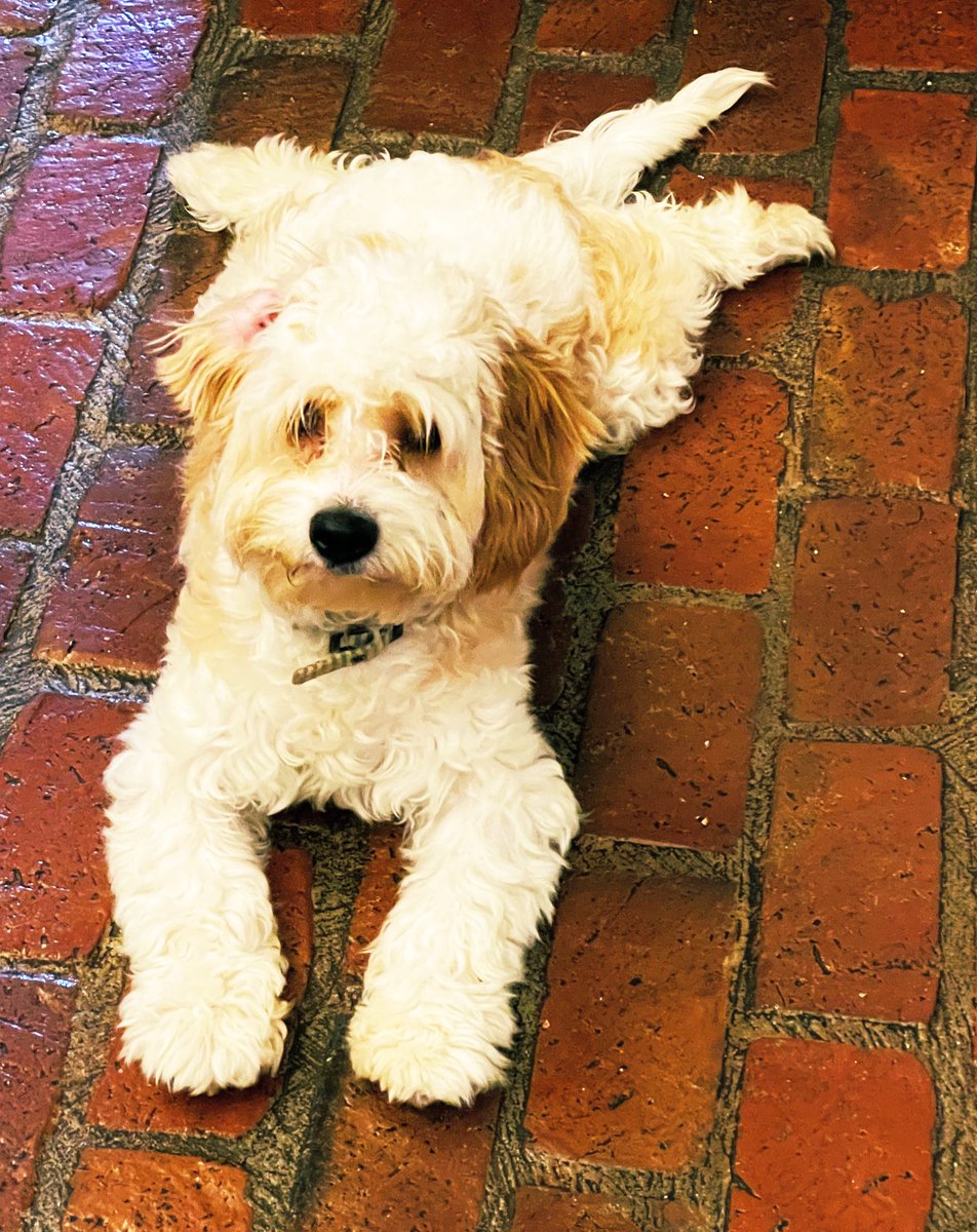 Today is brought to you by the letter C for cuteness overload!