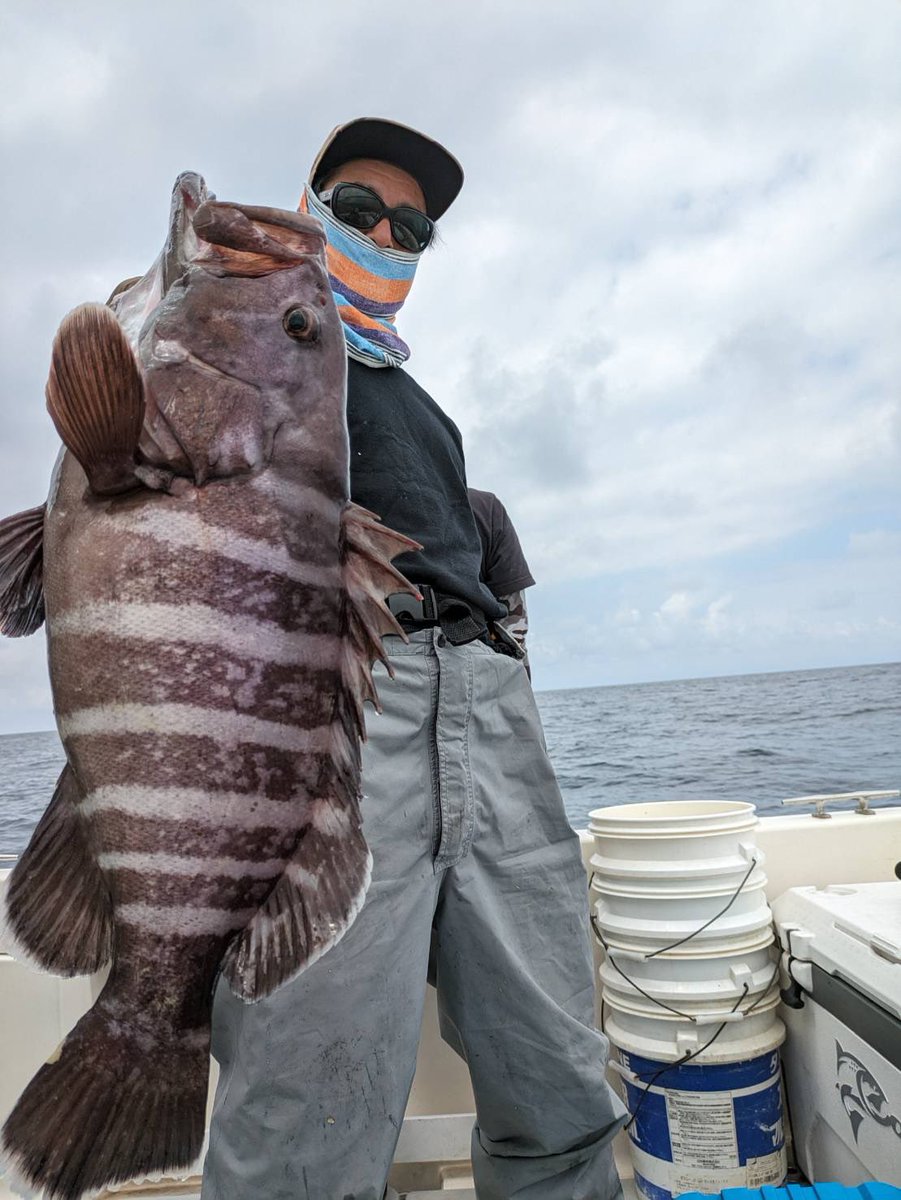 bait_breath's tweet photo. T.T.SHAD4inが今年も炸裂‼️
60cm 4kgクラス #ttshad #ベイトブレス https://t.co/OLVE8VWHj3