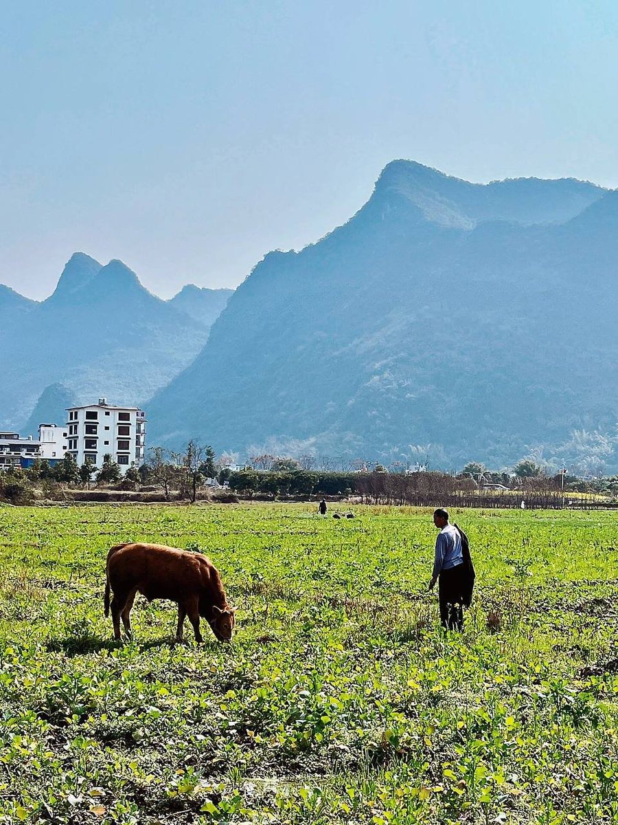 Comfortable in the mountains and rivers, the location was shot near the Yulong River in Yangshuo, Guilin
They're all free, free time slots
Yangshuo will make you want to do it again
impulse