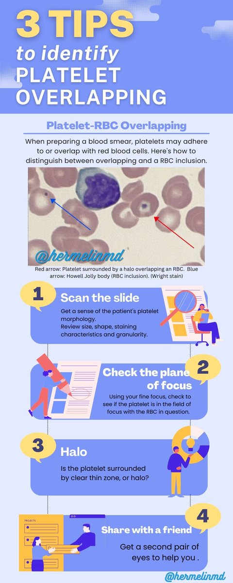 Platelet-RBC Overlapping Infographic.