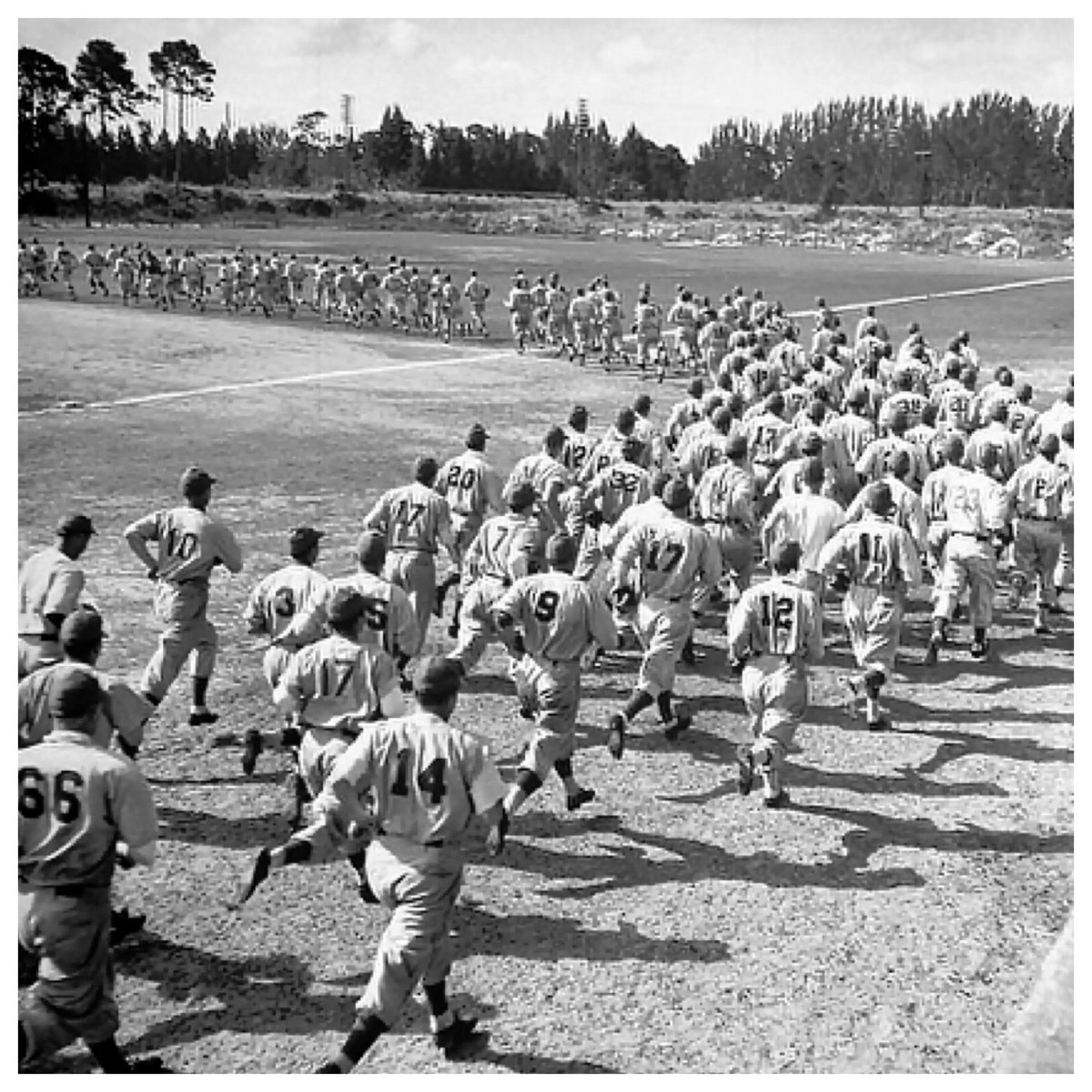 ladabc's tweet photo. In 1947 Branch Rickey leased a decommissioned Naval Base and put baseball fields on it in Vero Beach FL. He named it Dodgertown. Nov 2-8 2023 YOU can play on the very same fields where it all began. Sign up now for LADABC ⚾️ Camp. https://t.co/EWIT99Ozch