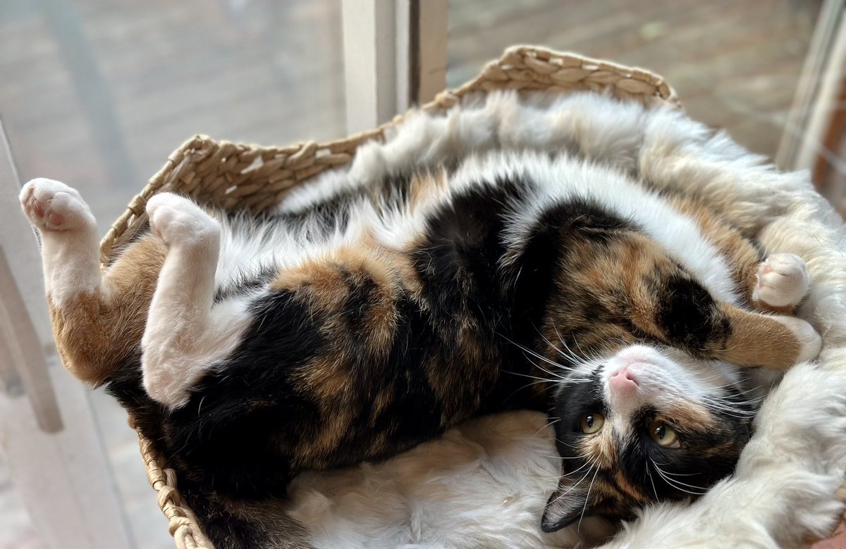 Timothy Caulfield tweet media