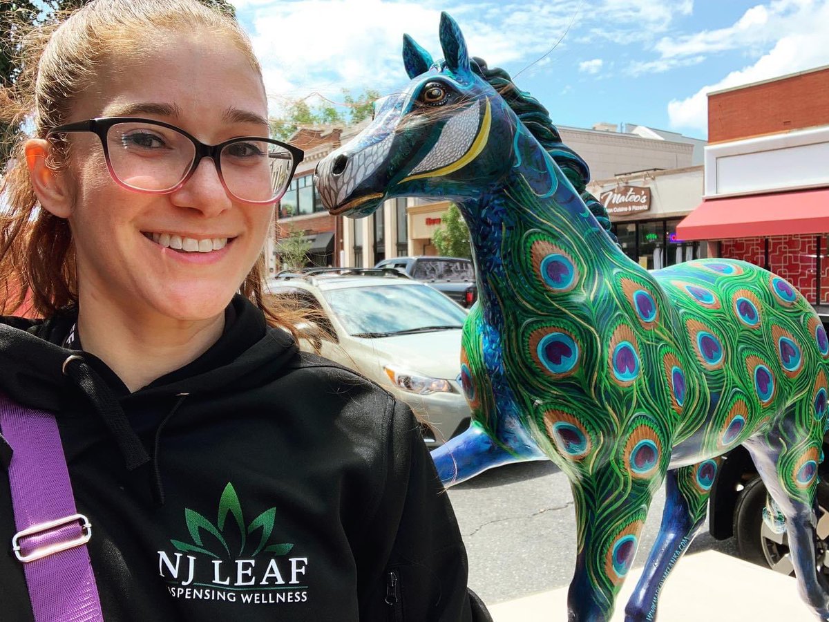 Out to lunch &amp; stopped by to visit the NJ Leaf horse created by the talented @madebymelanka! 

Check it out on your next lunch break 🐎🐎🐎@downtownfreehold